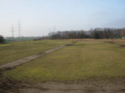 Dressurplatz