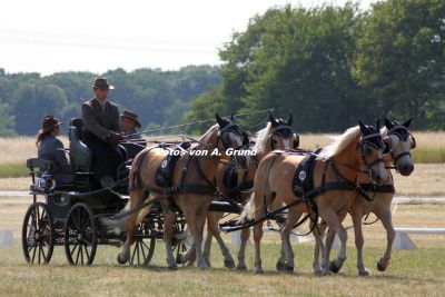 Markus Kemper mit dem Viererzug bei der Dressurbeim Equitana Cup