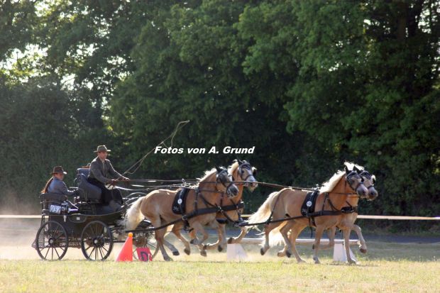 Bildansicht