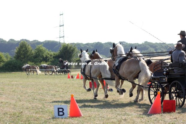 Bildansicht