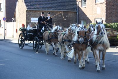 Sechserzug mit Brautpaar