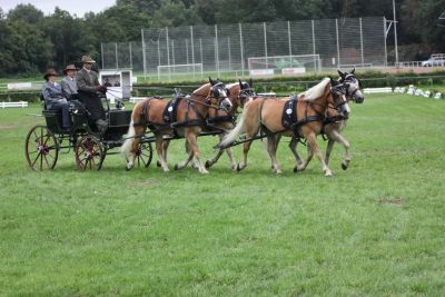 Markus Kemper mit seinem Viererzug am Jagdwagen