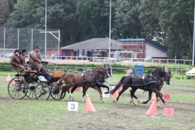 Florian Wissdorf mit dem Viererzug beim Hindernisfahren