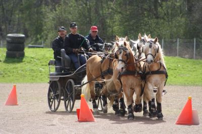 Fahrtraining 2012