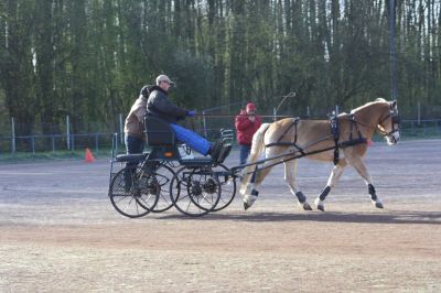 Fahrtraining 2012