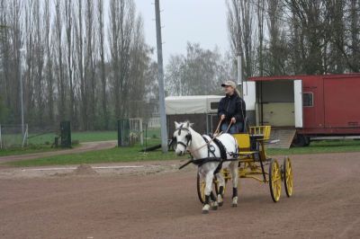 Fahrtraining 2012