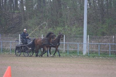 Fahrtraining 2012