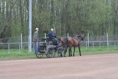 Fahrtraining 2012