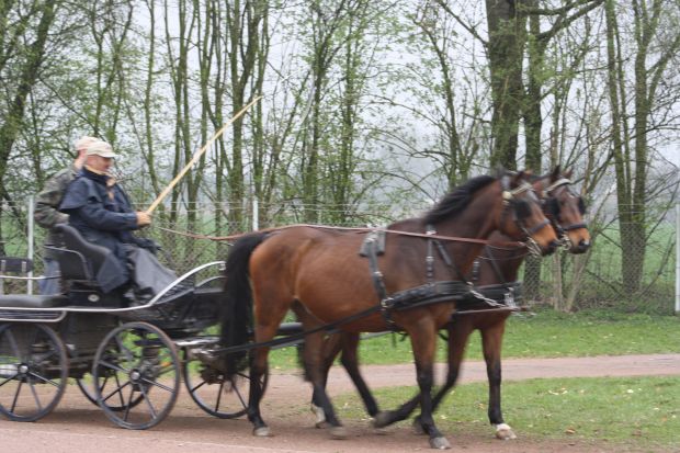 Bildansicht