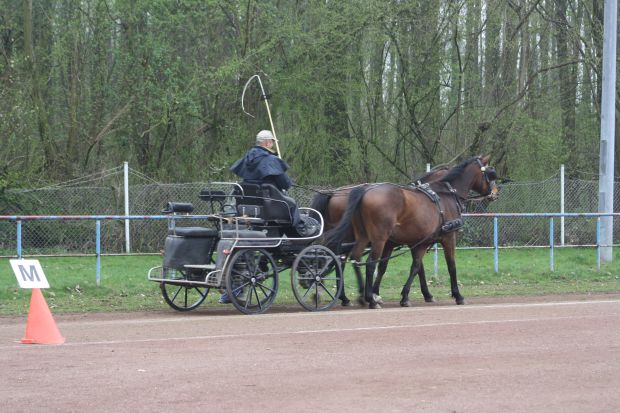 Bildansicht