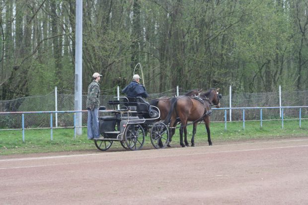 Bildansicht