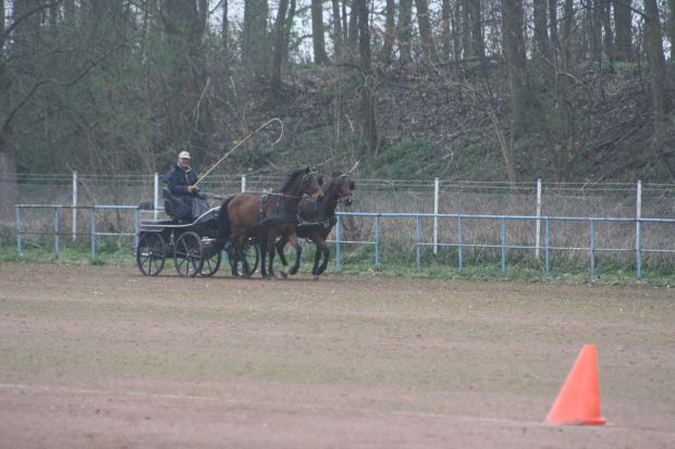 Bildansicht