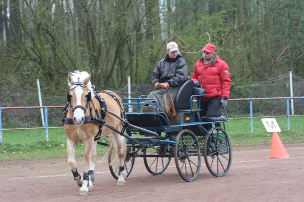 Bildansicht