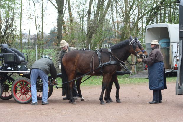 Bildansicht