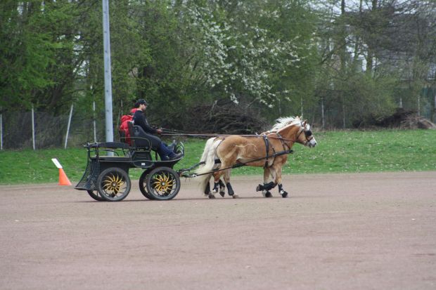 Bildansicht