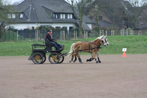 Bildansicht