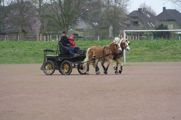 Bildansicht