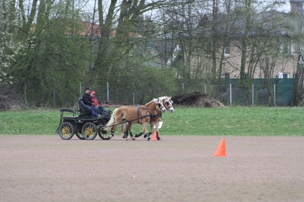Bildansicht