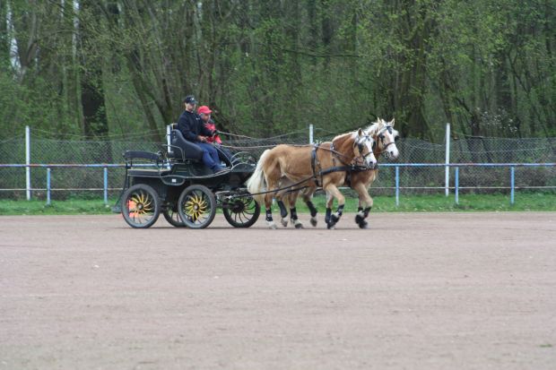 Bildansicht