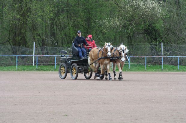 Bildansicht
