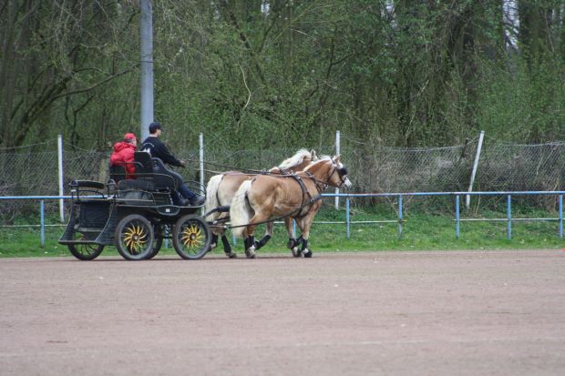 Bildansicht