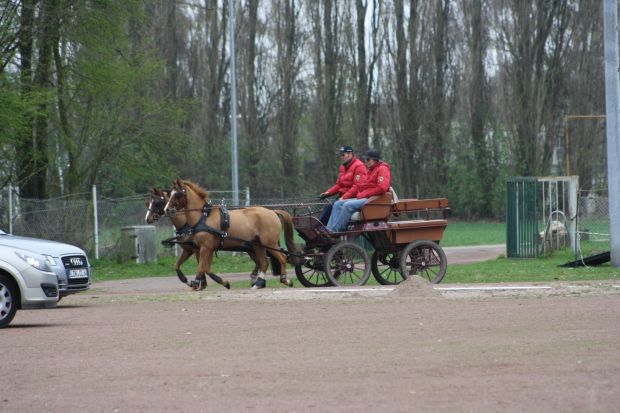 Bildansicht