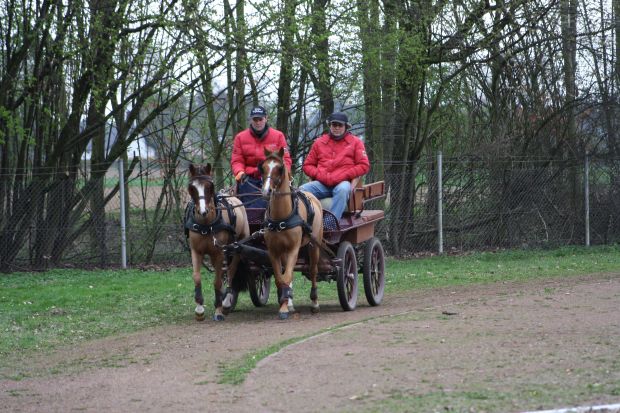 Bildansicht