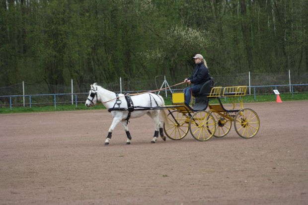 Bildansicht