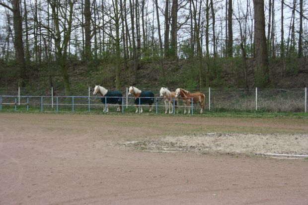 Bildansicht