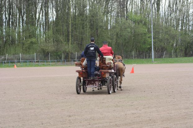 Bildansicht