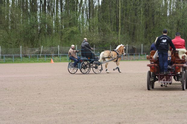 Bildansicht