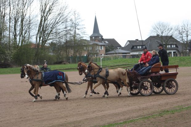 Bildansicht