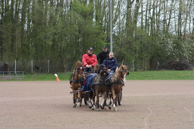 Bildansicht