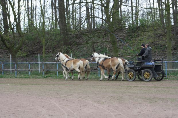 Bildansicht