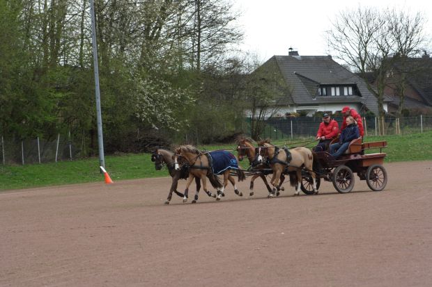 Bildansicht