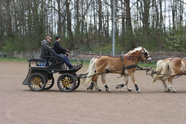 Bildansicht