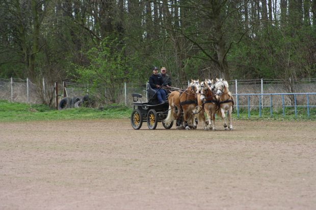 Bildansicht