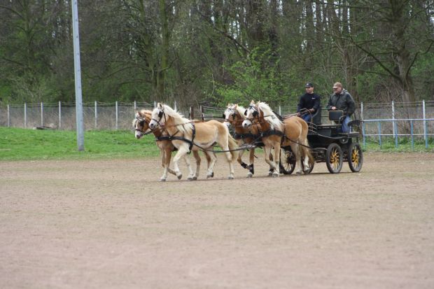 Bildansicht