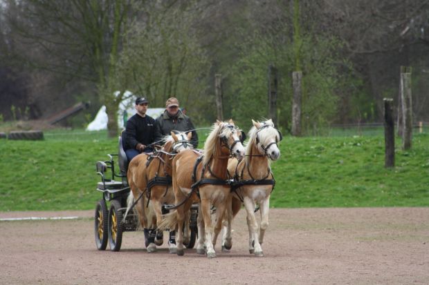 Bildansicht