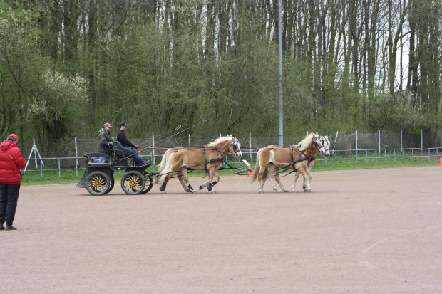 Bildansicht