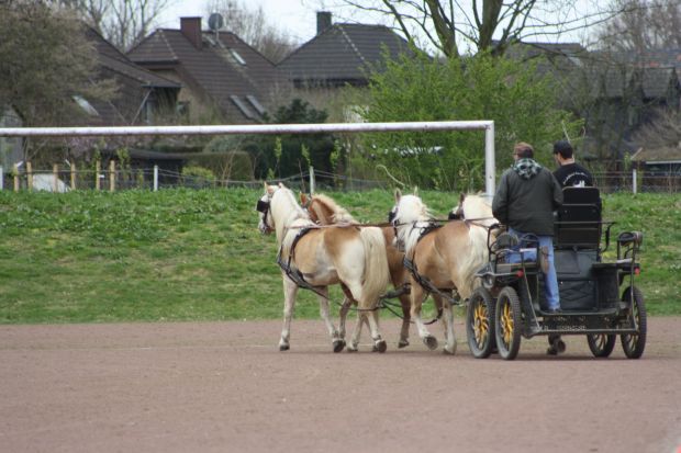Bildansicht
