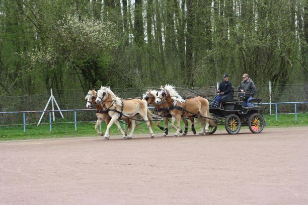 Bildansicht
