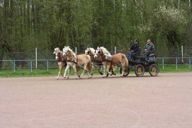 Bildansicht