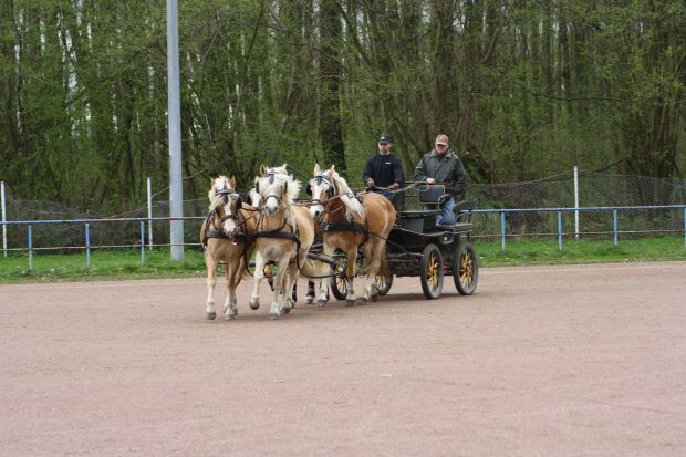 Bildansicht