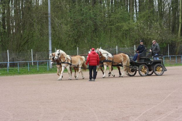 Bildansicht