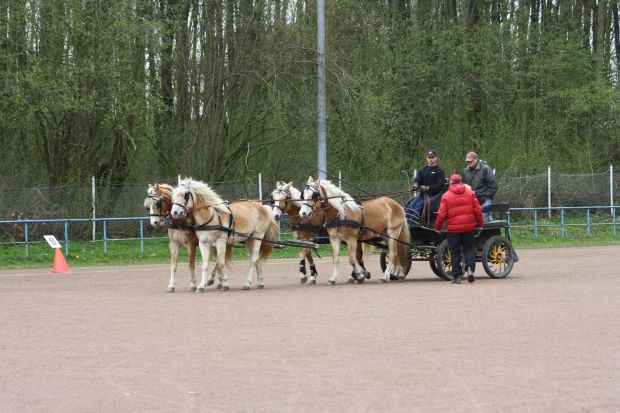 Bildansicht