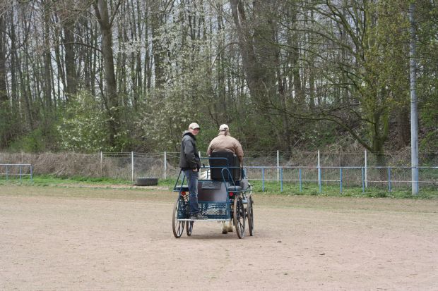 Bildansicht