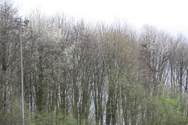Bildansicht