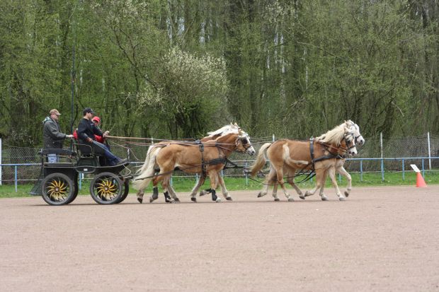 Bildansicht