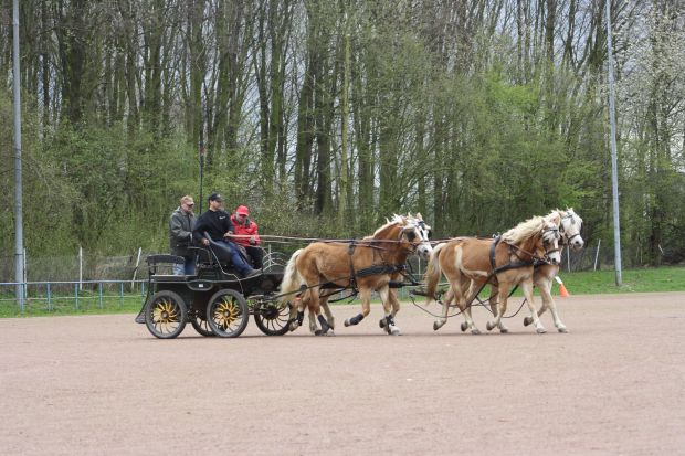 Bildansicht